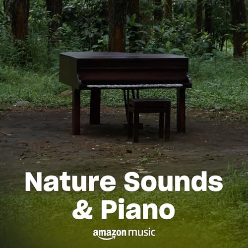 Zenful State: Calm Piano & Nature Sounds